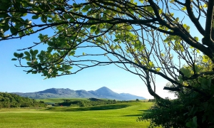 Westport Golf Club